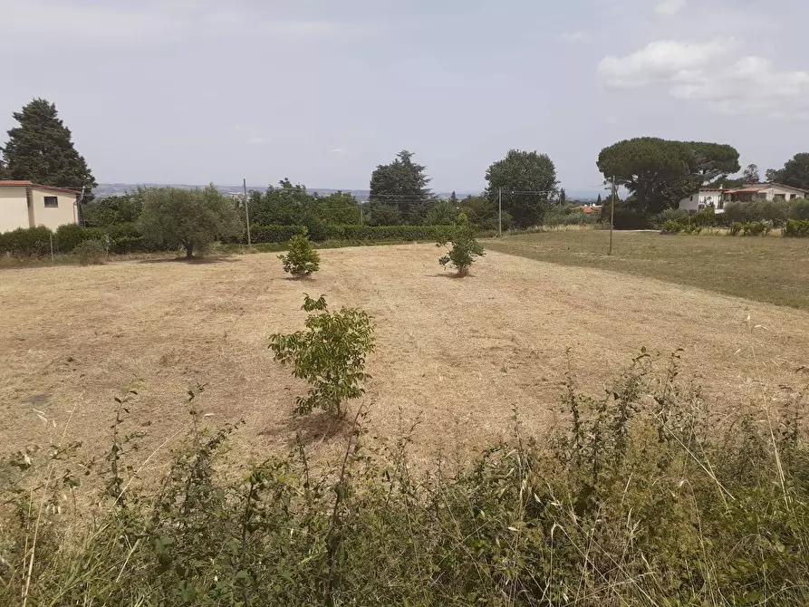Immagine 5 di Terreno agricolo in vendita  a Viterbo