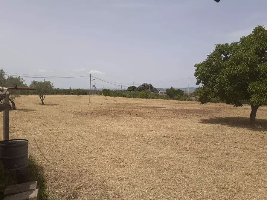 Immagine 6 di Terreno agricolo in vendita  a Viterbo