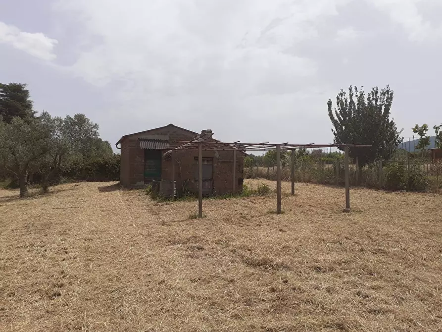 Immagine 11 di Terreno agricolo in vendita  a Viterbo