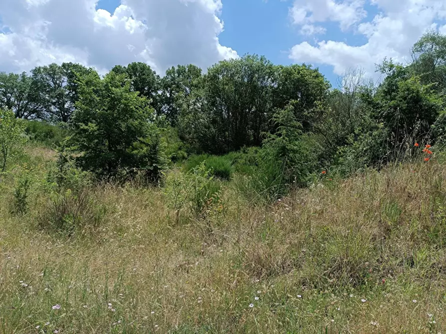 Immagine 7 di Appartamento in vendita  a Celleno