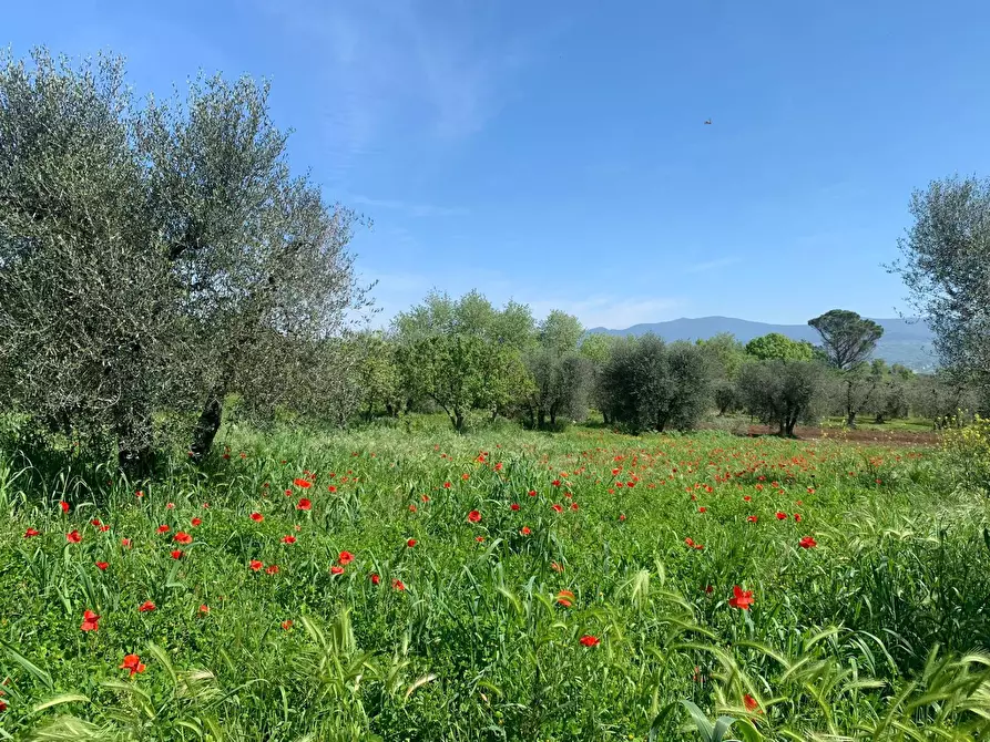 casa indipendente in vendita a Graffignano