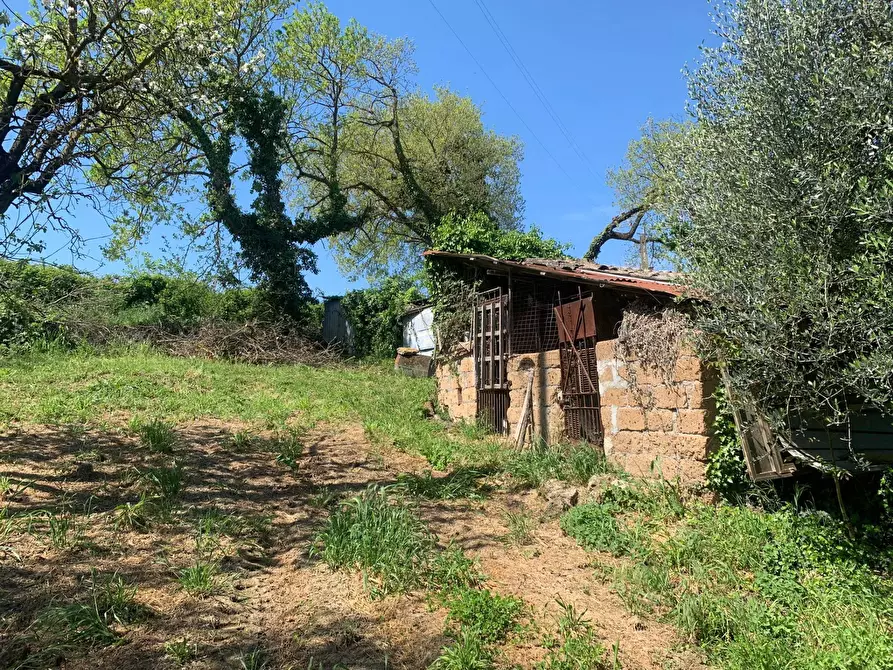 Immagine 3 di Rustico / casale in vendita  a Graffignano