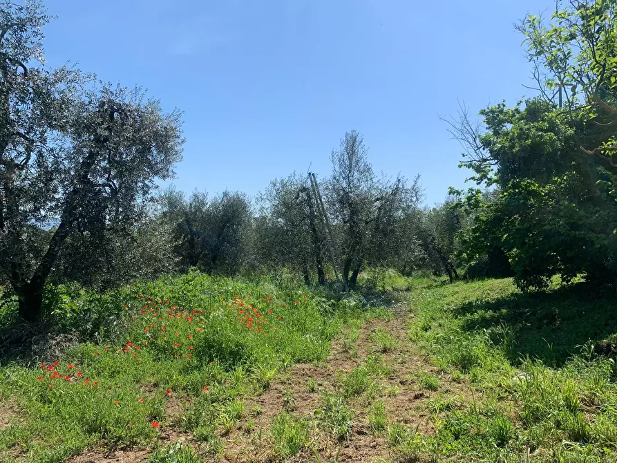 Immagine 6 di Rustico / casale in vendita  a Graffignano