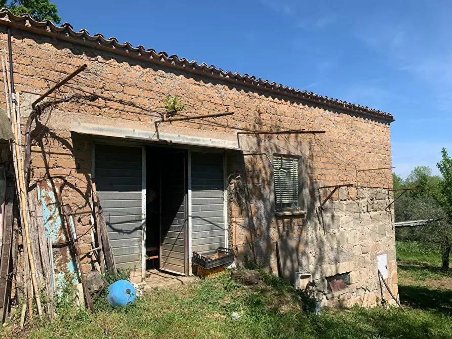 Immagine 7 di Rustico / casale in vendita  a Graffignano