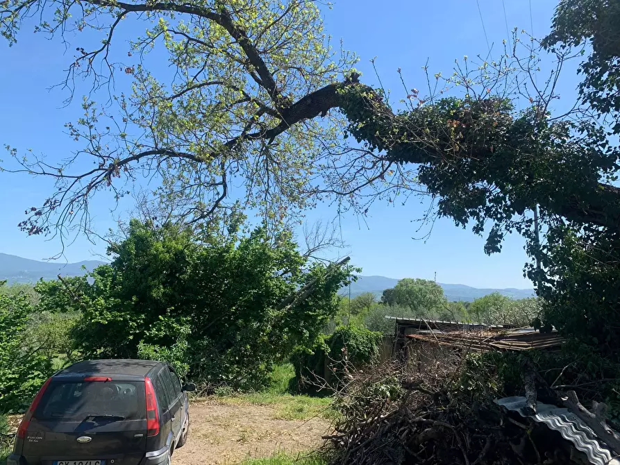 Immagine 10 di Rustico / casale in vendita  a Graffignano