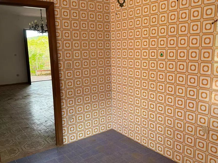 Immagine 12 di Villa in vendita  in contrada Dingoli a Piana Degli Albanesi