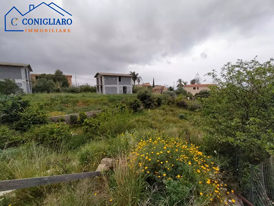 Immagine 2 di Terreno agricolo in vendita  in Contrada Cannita a Misilmeri
