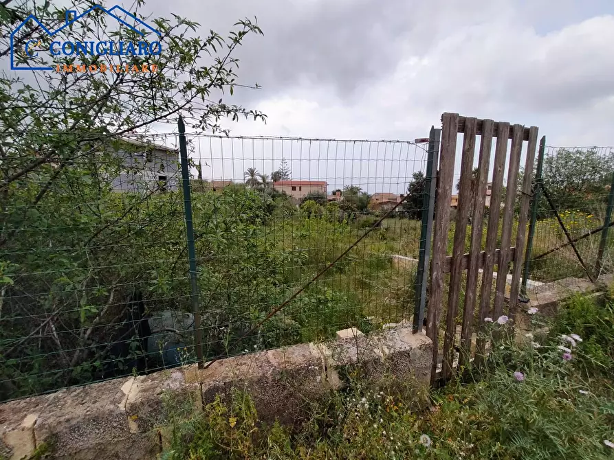 Immagine 3 di Terreno agricolo in vendita  in Contrada Cannita a Misilmeri