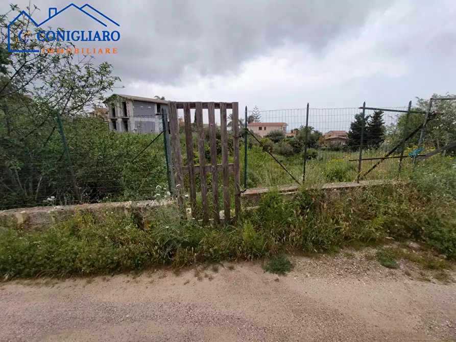 Immagine 4 di Terreno agricolo in vendita  in Contrada Cannita a Misilmeri