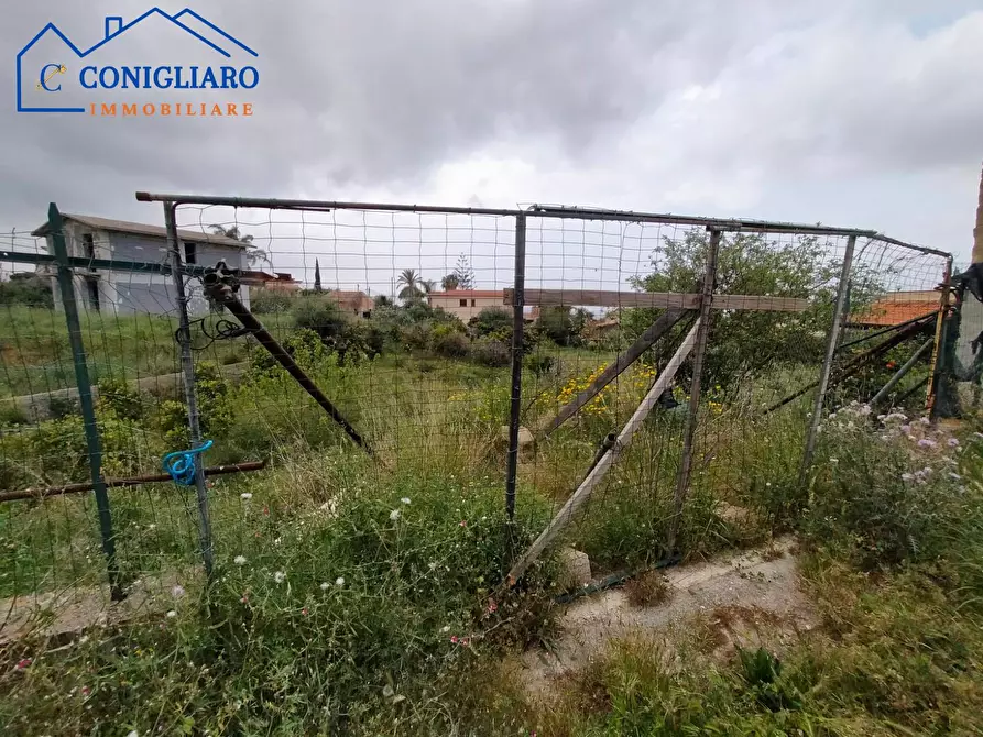 Immagine 5 di Terreno agricolo in vendita  in Contrada Cannita a Misilmeri