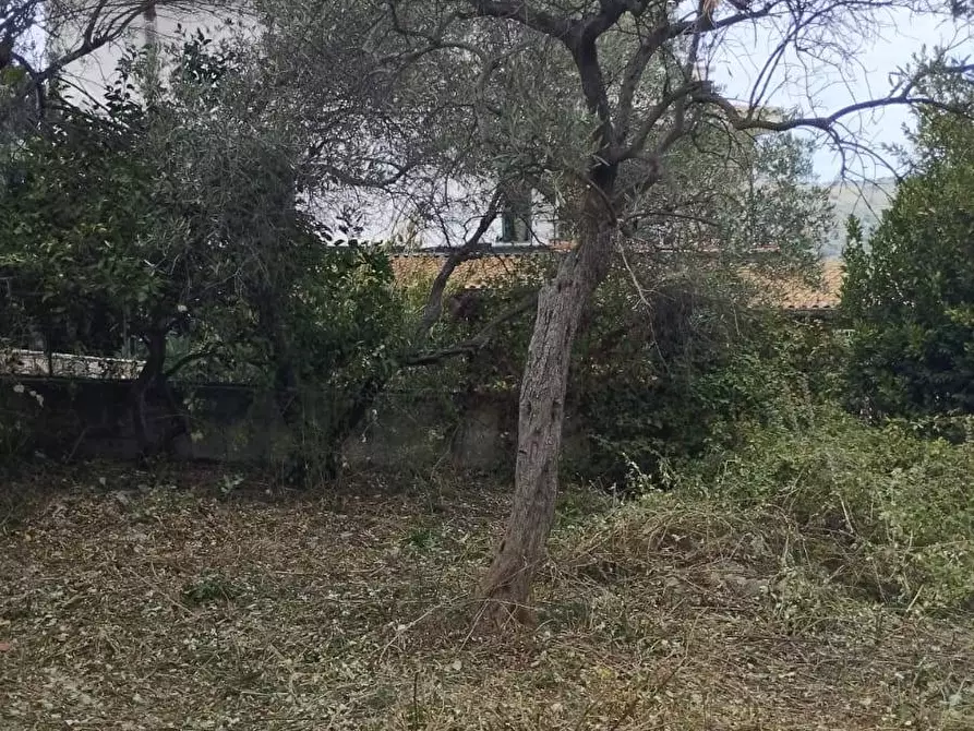 Immagine 2 di Rustico / casale in vendita  in Via Alexandros Panagulis a Torretta