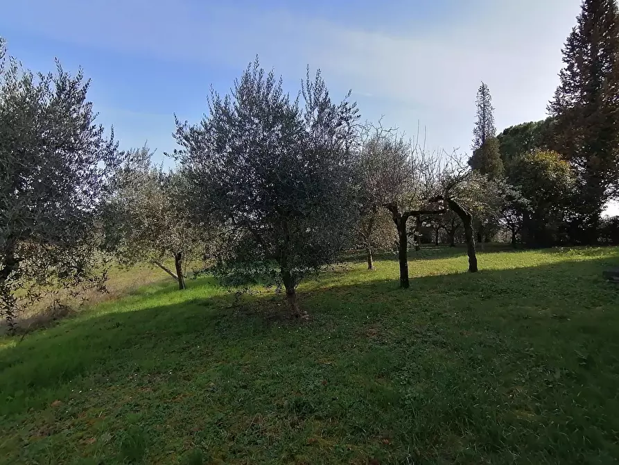 Immagine 2 di Casa semindipendente in vendita  in Strada statale 317 a Marsciano
