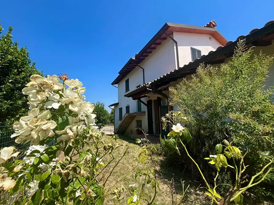 Immagine 8 di Villa in vendita  in via della Pace 3 a Marsciano
