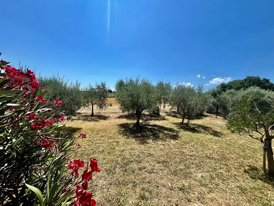Immagine 11 di Villa in vendita  in via della Pace 3 a Marsciano