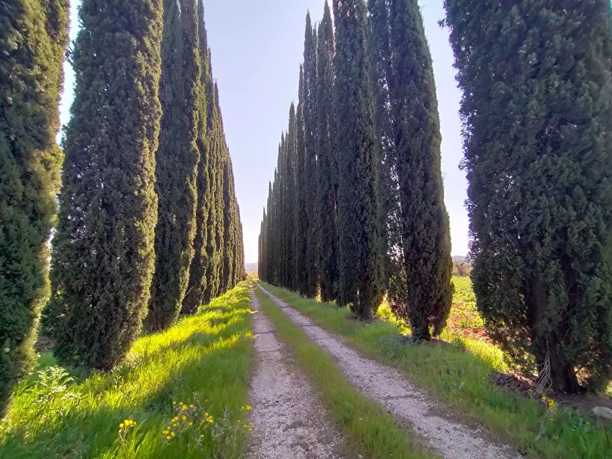 Immagine 3 di Casa indipendente in vendita  in Vocabolo Carpeneto 1 a Marsciano