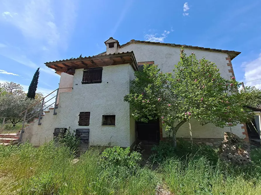 Immagine 5 di Casa indipendente in vendita  in Vocabolo Carpeneto 1 a Marsciano