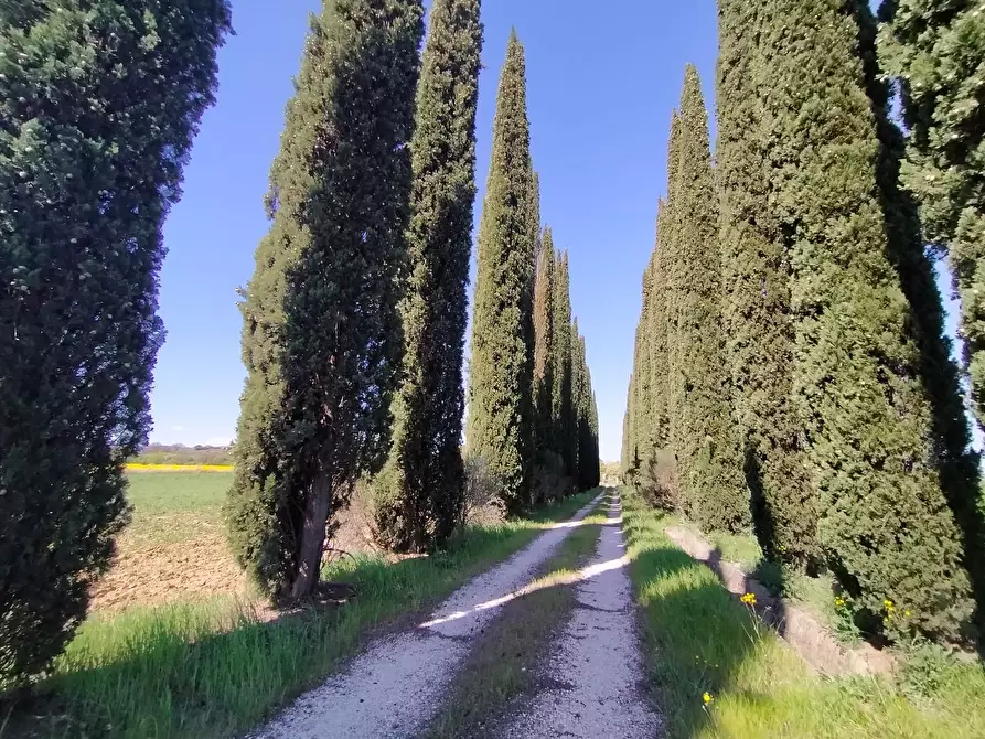 Immagine 22 di Casa indipendente in vendita  in Vocabolo Carpeneto 1 a Marsciano