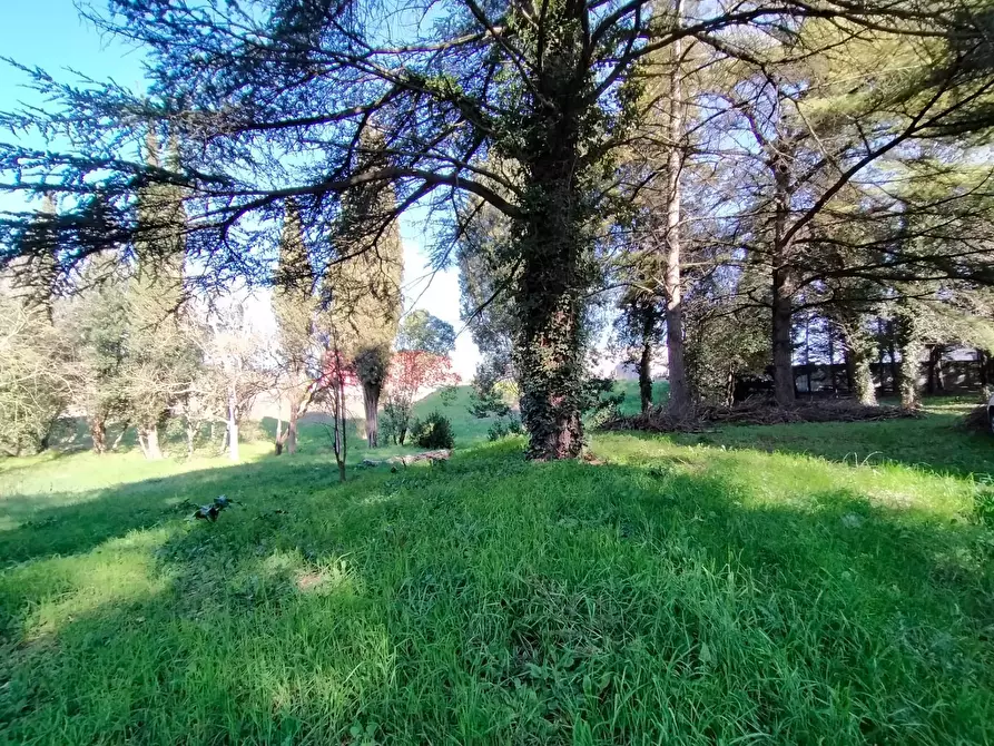 Immagine 2 di Casa indipendente in vendita  a Marsciano