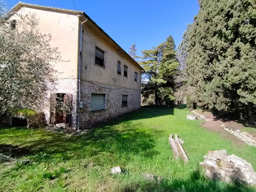 Immagine 4 di Casa indipendente in vendita  a Marsciano