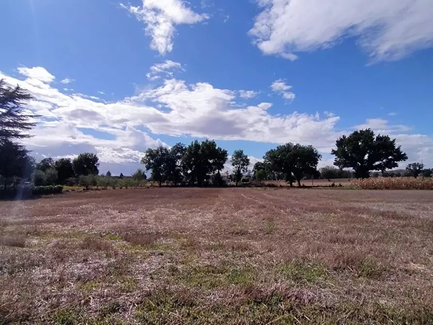 Immagine 1 di Terreno residenziale in vendita  a Marsciano