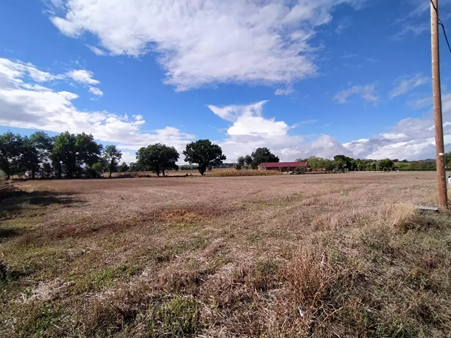 Immagine 2 di Terreno residenziale in vendita  a Marsciano