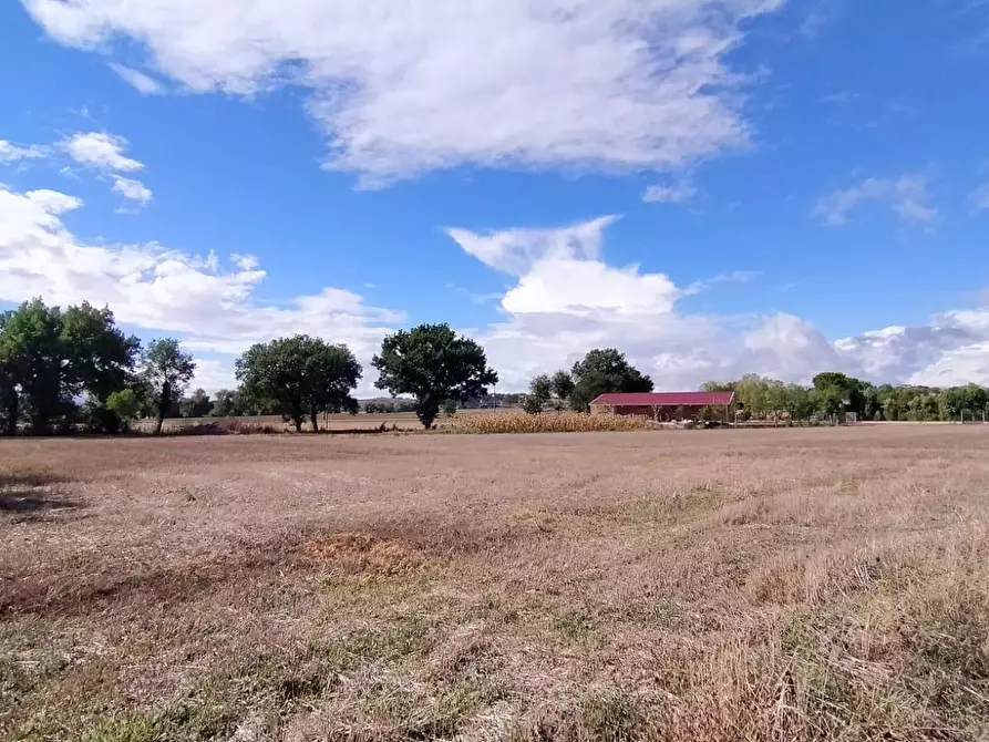 Immagine 3 di Terreno residenziale in vendita  a Marsciano