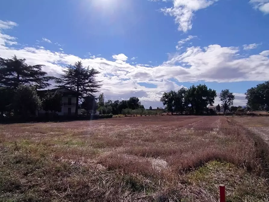 Immagine 4 di Terreno residenziale in vendita  a Marsciano
