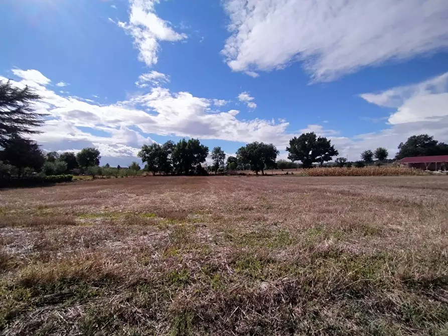 Immagine 5 di Terreno residenziale in vendita  a Marsciano