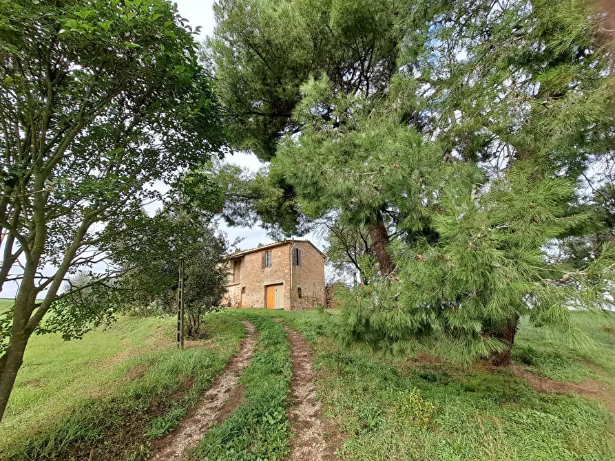 Immagine 1 di Rustico / casale in vendita  a Marsciano