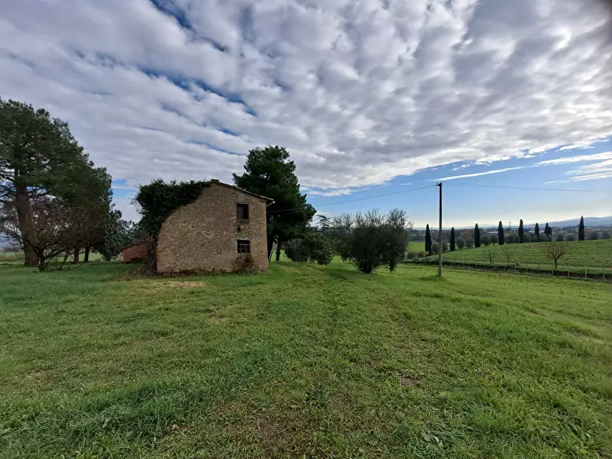Immagine 4 di Rustico / casale in vendita  a Marsciano