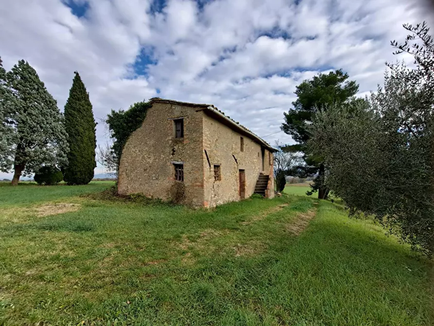 Immagine 3 di Rustico / casale in vendita  a Marsciano