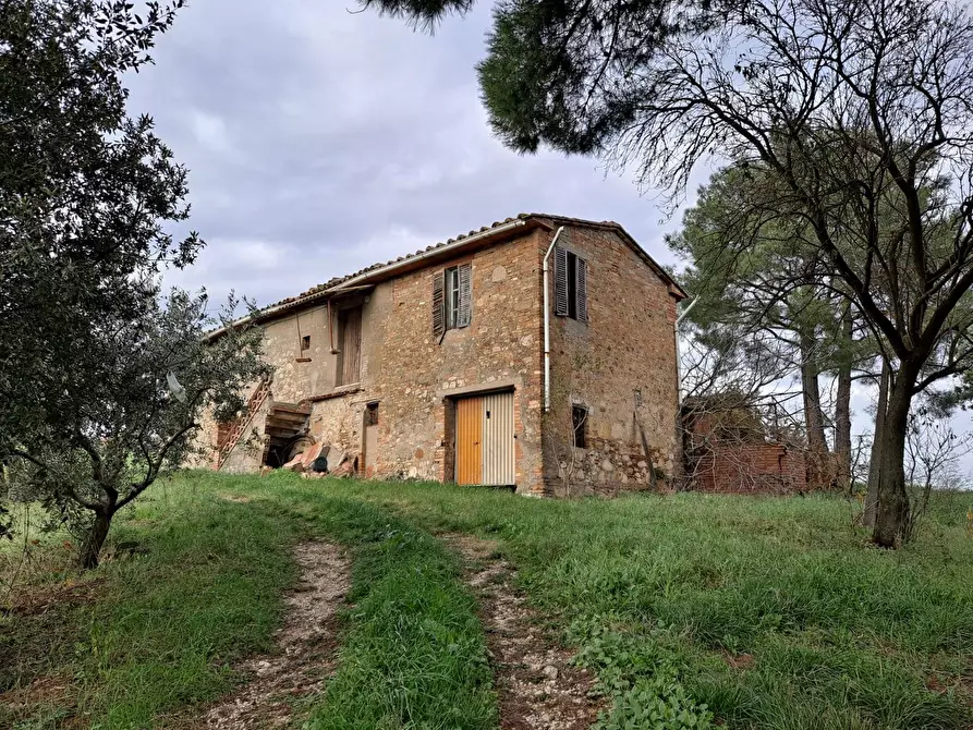Immagine 2 di Rustico / casale in vendita  a Marsciano