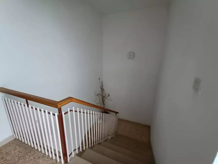 Immagine 5 di Appartamento in vendita  a San Venanzo