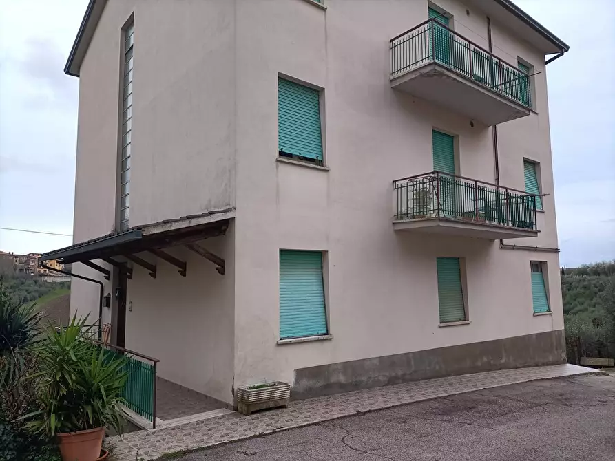 Immagine 2 di Appartamento in vendita  a San Venanzo