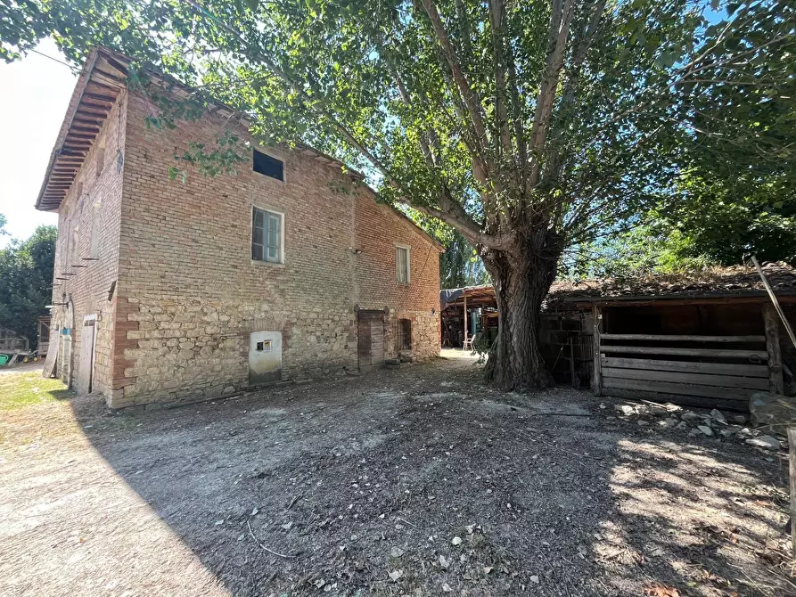 Immagine 10 di Casa indipendente in vendita  a Collazzone