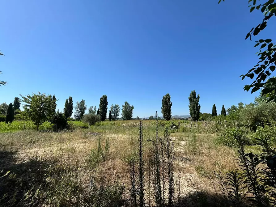 Immagine 15 di Casa indipendente in vendita  a Collazzone