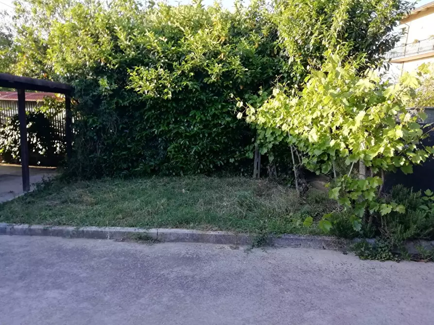 Immagine 5 di Casa indipendente in vendita  a Marsciano