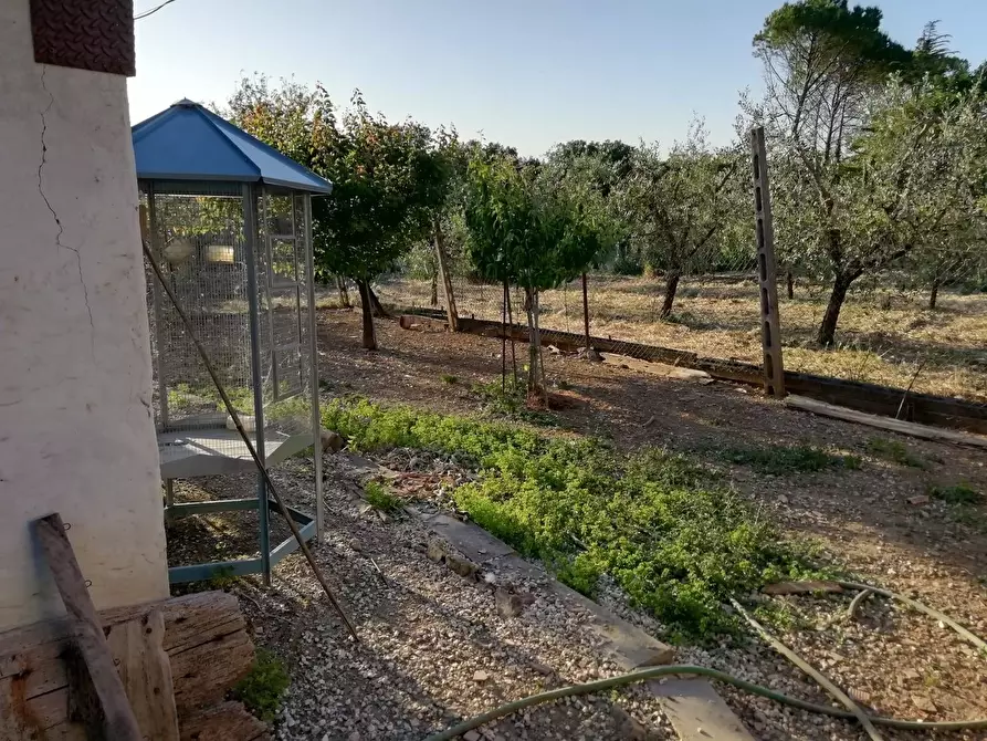 Immagine 7 di Casa indipendente in vendita  a Marsciano