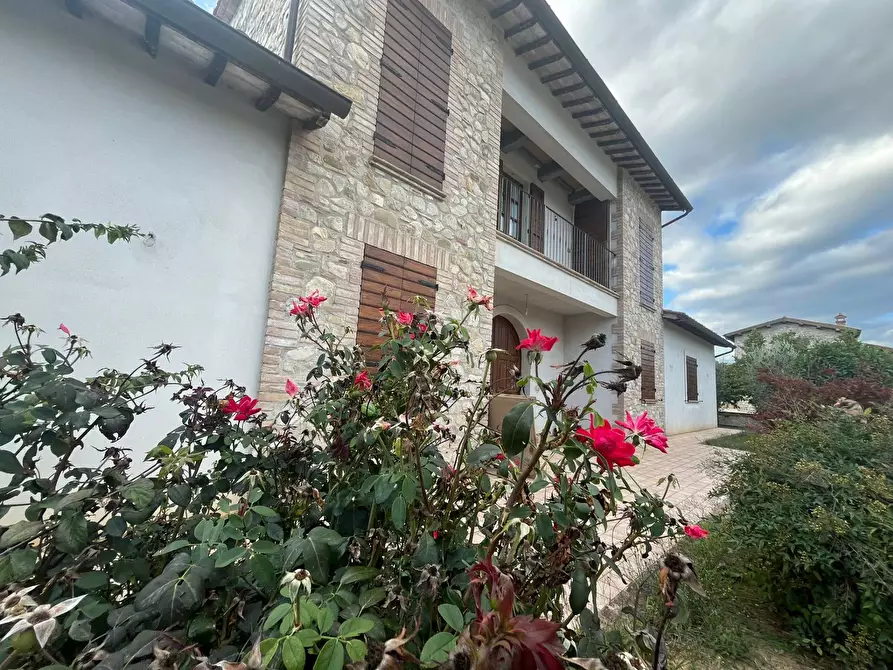 Immagine 5 di Rustico / casale in vendita  a Marsciano