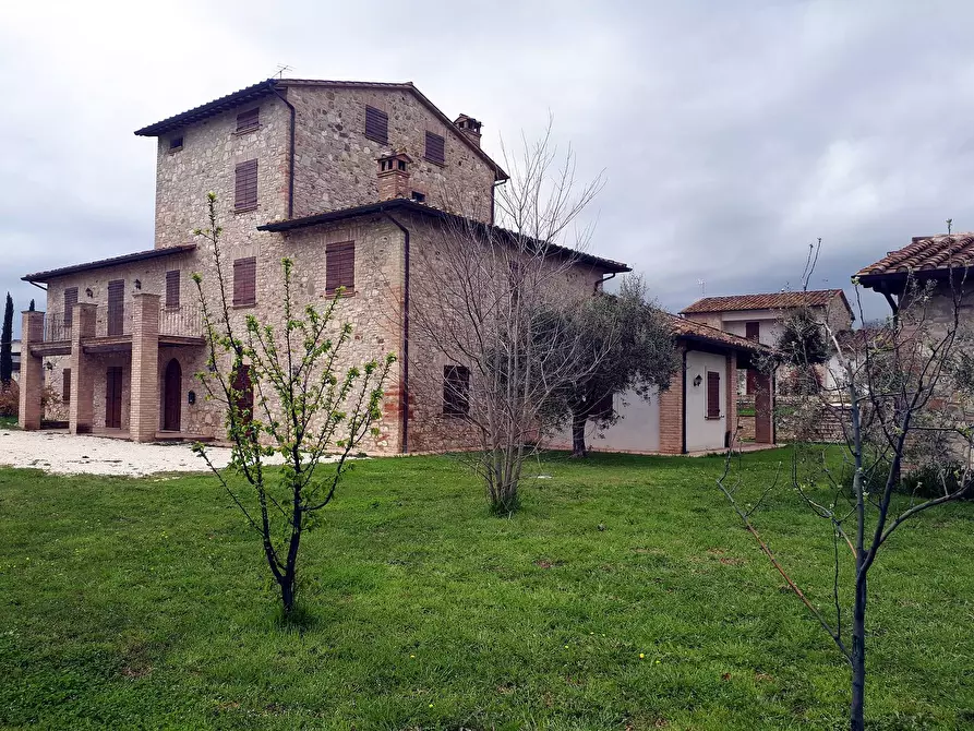 Immagine 7 di Rustico / casale in vendita  a Marsciano