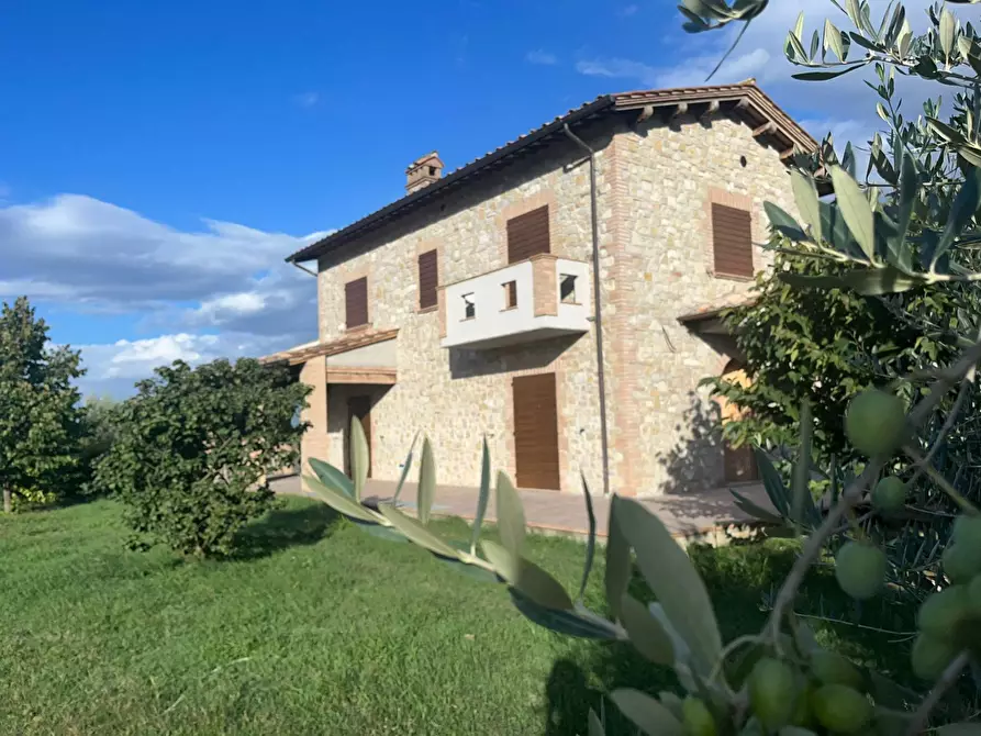 Immagine 10 di Rustico / casale in vendita  a Marsciano