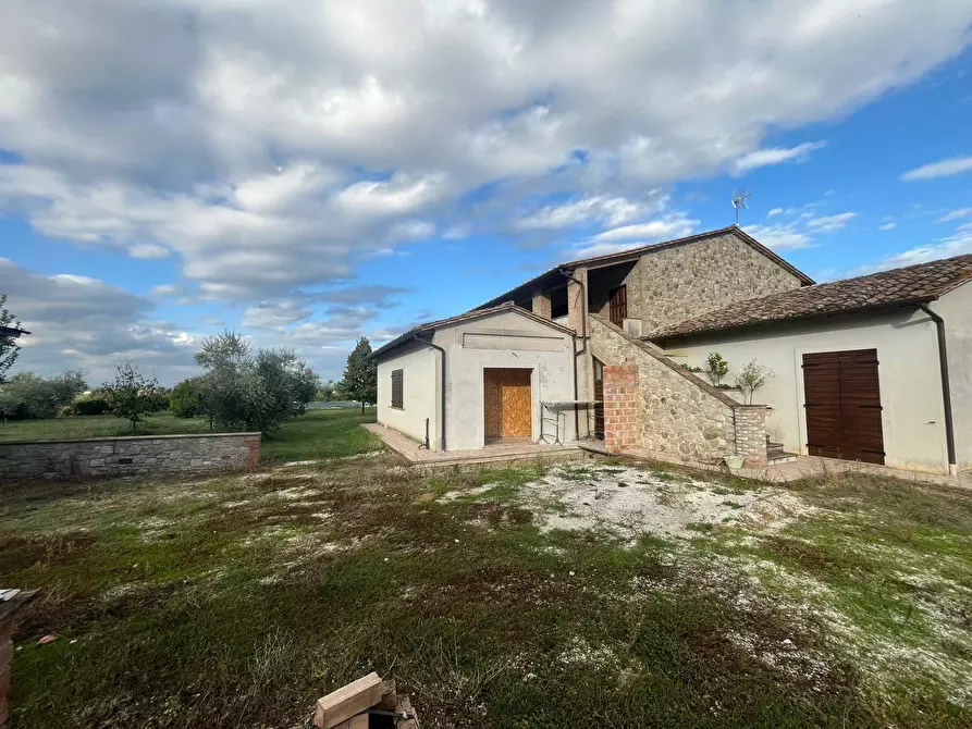 Immagine 17 di Rustico / casale in vendita  a Marsciano