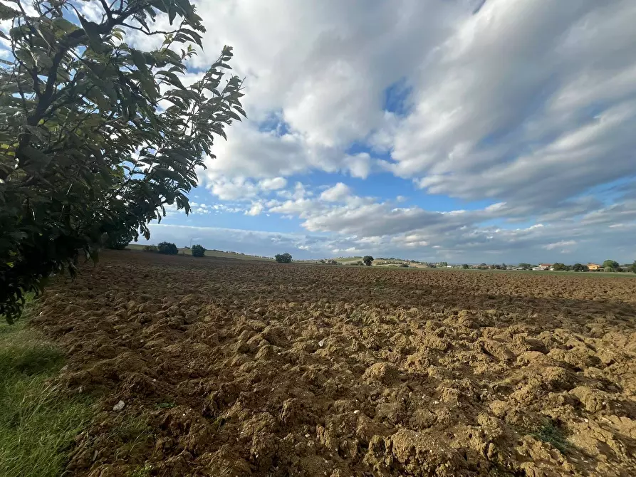 Immagine 49 di Rustico / casale in vendita  a Marsciano