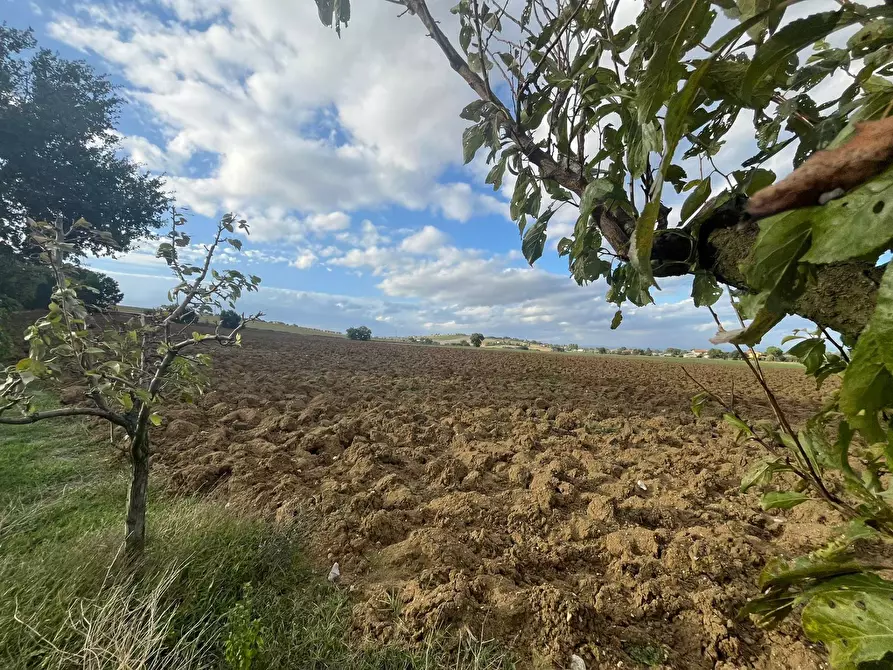 Immagine 50 di Rustico / casale in vendita  a Marsciano