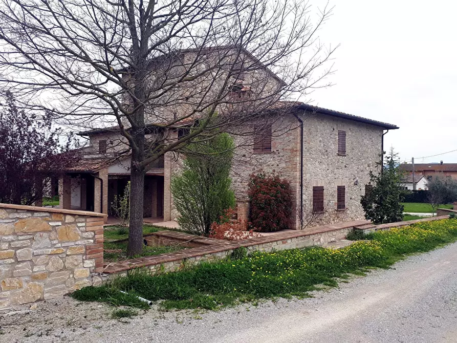 Immagine 6 di Rustico / casale in vendita  a Marsciano