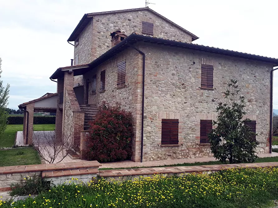 Immagine 7 di Rustico / casale in vendita  a Marsciano