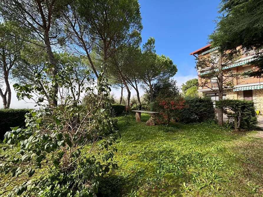 Immagine 3 di Appartamento in vendita  a Marsciano