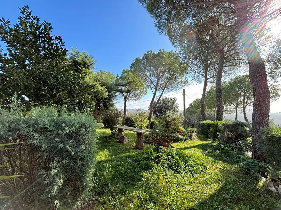 Immagine 20 di Appartamento in vendita  a Marsciano