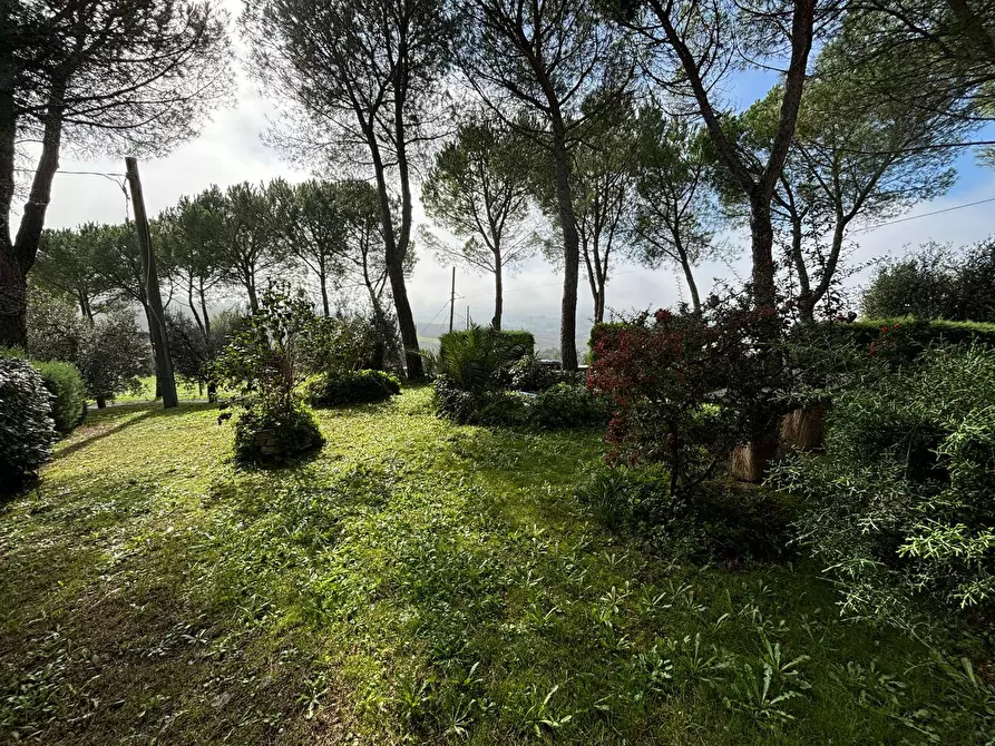 Immagine 2 di Appartamento in vendita  a Marsciano
