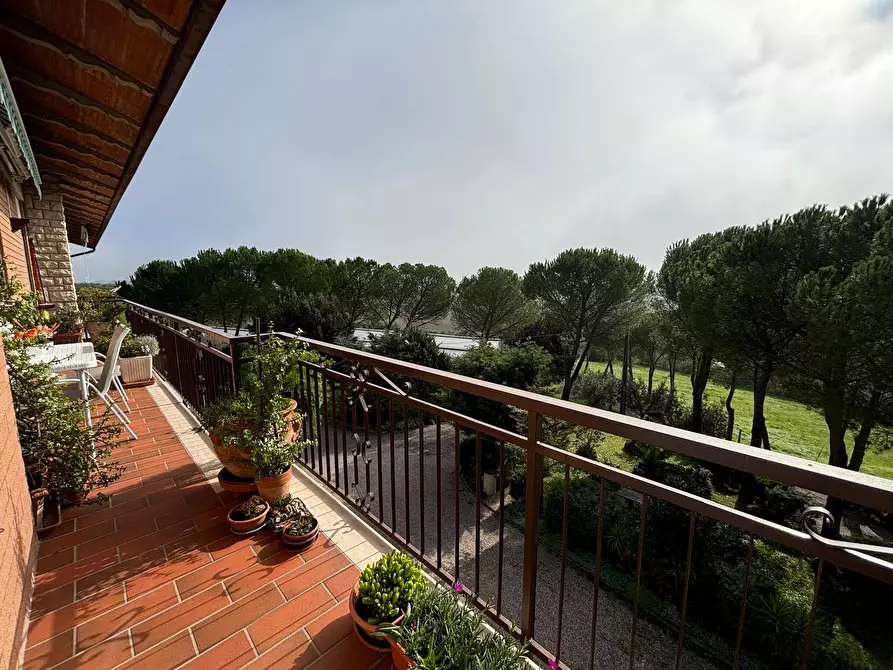 Immagine 28 di Appartamento in vendita  a Marsciano